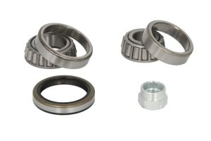 Zestaw łożyska koła R170.08