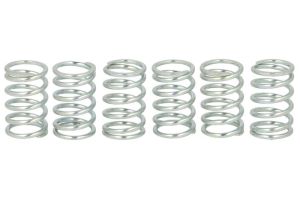 Zestaw sprężyn sprzęgła FSS0108