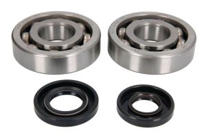 Zestaw naprawczy wału korbowego K227