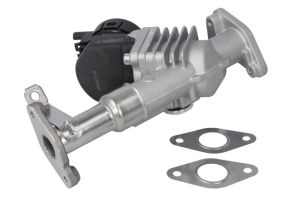 Zawór EGR EGE5-V068           94680
