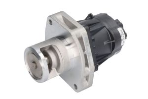 Zawór EGR 7.24809.80.0