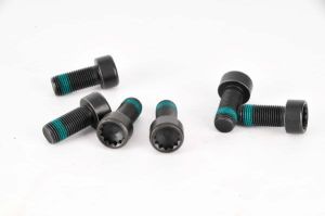 Zestaw śrub koła zamachowego 411 0133 10