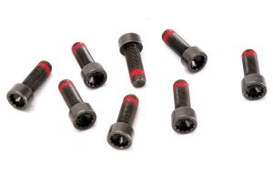 Zestaw śrub koła zamachowego 411 0139 11