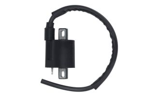 Cewka zapłonowa DZE10179