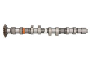 Wałek rozrządu 50 006 308