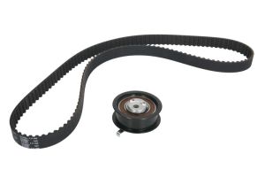 Zestaw paska rozrządu 530 0174 10