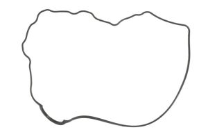 Uszczelka pokrywy zaworów N40507OEM