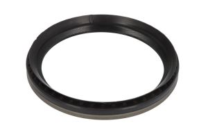 Uszczelniacz wału korbowego RM4198