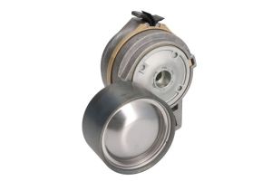 Napinacz paska wieloklinowego DAYAPV1094