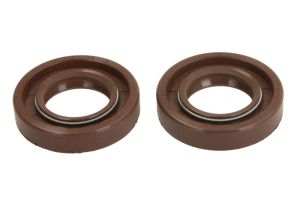 Komplet uszczelniaczy silnika P400105450050