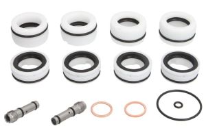 Zestaw naprawczy zaworu przeciwprzeciążeniowego 303.11.0009.01