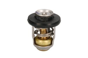 Termostat środka chłodzącego 8M0119207