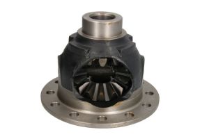 Zestaw naprawczy mechanizmu różnicowego 30170953