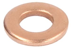 Pierścień uszczelniający ENT250056/1