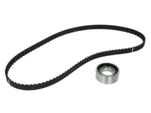 Zestaw paska rozrządu 530 0204 10