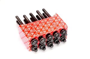 Zestaw śrub głowicy cylindrów EL803060