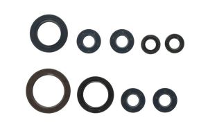 Komplet uszczelniaczy silnika P400270400063