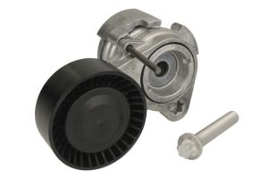 Napinacz paska wieloklinowego 534 0252 10