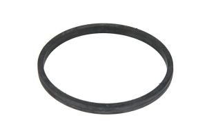 Uszczelka termostatu FE100055