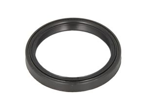 Uszczelniacz piasty koła CO12013929B