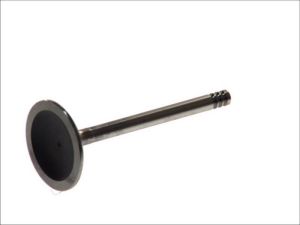 Zawór ssący 4806/S