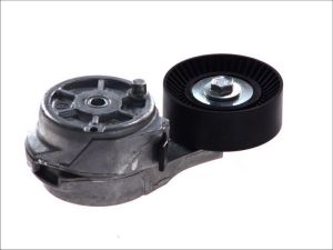 Napinacz paska wieloklinowego DAYAPV2486