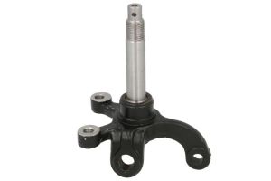 Zwrotnica zawieszenia koła IP000379