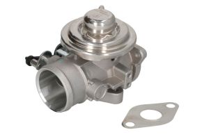 Zawór EGR 7.24809.17.0