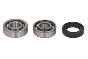 Łożysko wałka wyrównoważającego BBK0029