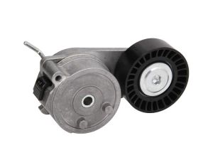 Napinacz paska wieloklinowego DAYAPV2799