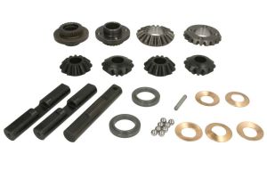 Zestaw naprawczy mechanizmu różnicowego 66317-CR