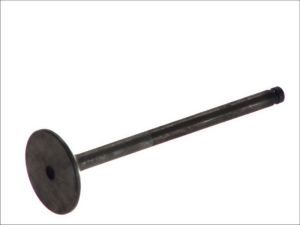 Zawór ssący 6102/BMNT