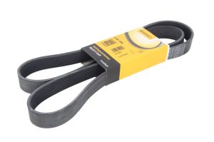 Pasek wieloklinowy 8 PK 1550