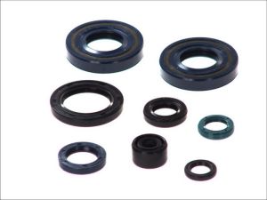 Komplet uszczelniaczy silnika P400250400082