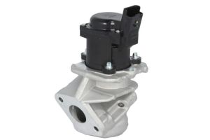 Zawór EGR NRF 48668