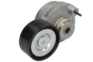 Napinacz paska wieloklinowego DAYAPV2813