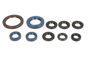 Komplet uszczelniaczy silnika P400270400074