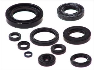 Komplet uszczelniaczy silnika P400485400267