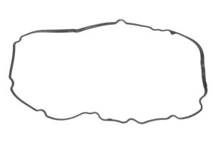 Uszczelka pokrywy zaworów 71-54267-00