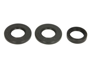 Zestaw naprawczy mechanizmu różnicowego AB25-2054-5