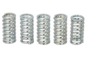 Zestaw sprężyn sprzęgła MEF134-5