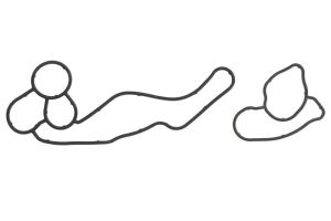 Uszczelka chłodnicy oleju EL521730