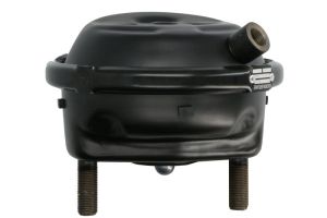 Siłownik hamulcowy BS 3505