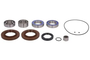 Uszczelniacz wałka zdawczego AB25-2139