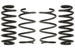 Sprężyna obniżająca E10-79-010-01-22