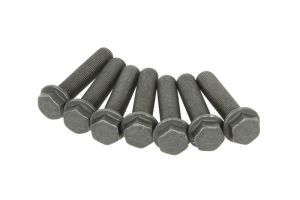 Zestaw śrub koła zamachowego 411 0186 10