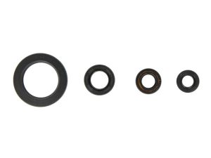 Komplet uszczelniaczy silnika P400485400054