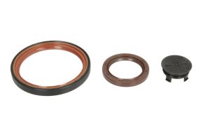 Zestaw uszczelniaczy wargowych silnika EL484270