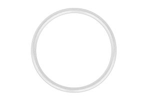 Uszczelka pompy paliwa DAF1797696