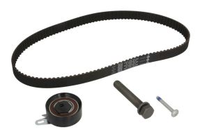 Zestaw paska rozrządu 530 0173 10